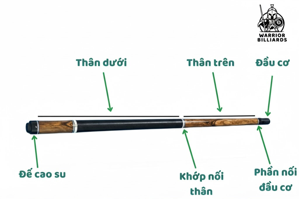 cấu tạo cơ bida 